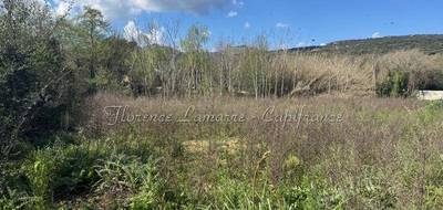 Terrain seul à Speloncato en Haute-Corse (2B) de 1980 m² à vendre au prix de 346500€ - 1