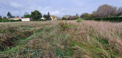 Terrain seul à Saint-Léon-sur-l'Isle en Dordogne (24) de 2284 m² à vendre au prix de 29000€ - 1
