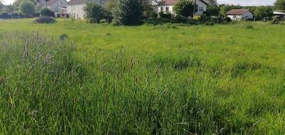 Terrain seul à Faverney en Haute-Saône (70) de 2014 m² à vendre au prix de 21000€ - 4