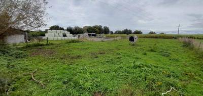 Terrain seul à Sars-Poteries en Nord (59) de 5907 m² à vendre au prix de 219900€ - 1