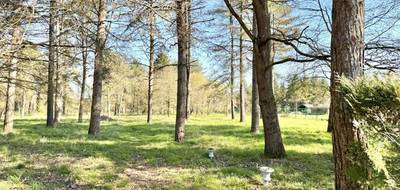Terrain seul à Tigy en Loiret (45) de 6260 m² à vendre au prix de 105000€ - 3