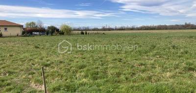 Terrain seul à Lacassagne en Hautes-Pyrénées (65) de 3000 m² à vendre au prix de 29500€ - 4