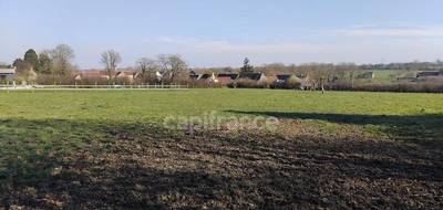 Terrain seul à Lougé-sur-Maire en Orne (61) de 4200 m² à vendre au prix de 35000€ - 3