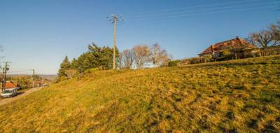 Terrain seul à Sainte-Fortunade en Corrèze (19) de 2000 m² à vendre au prix de 35000€ - 4