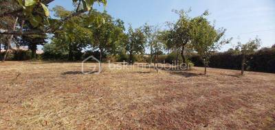Terrain seul à Hinx en Landes (40) de 970 m² à vendre au prix de 103500€ - 1
