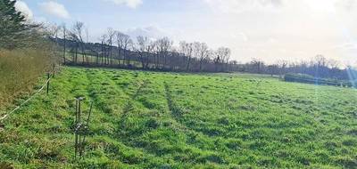 Terrain seul à Argol en Finistère (29) de 875 m² à vendre au prix de 63500€ - 2