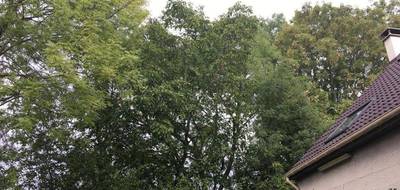 Terrain seul à Bry-sur-Marne en Val-de-Marne (94) de 713 m² à vendre au prix de 750000€ - 4