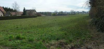 Terrain seul à Dietwiller en Haut-Rhin (68) de 1286 m² à vendre au prix de 399689€ - 2