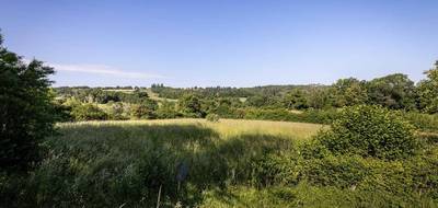 Terrain seul à Saint-Christophe en Allier (03) de 5782 m² à vendre au prix de 58000€ - 1