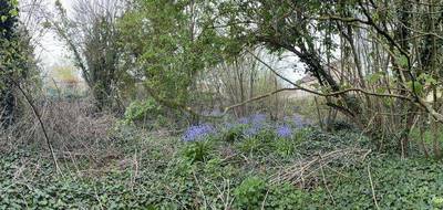 Terrain seul à Sagy en Val-d'Oise (95) de 275 m² à vendre au prix de 115000€ - 1