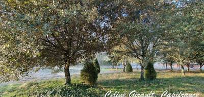 Terrain seul à Caubeyres en Lot-et-Garonne (47) de 3153 m² à vendre au prix de 45000€ - 2