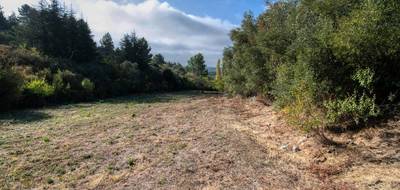 Terrain seul à Caunes-Minervois en Aude (11) de 1600 m² à vendre au prix de 82000€ - 3
