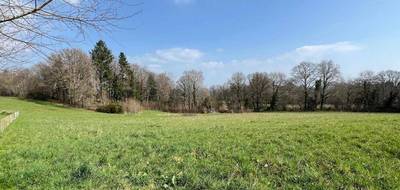 Terrain seul à Royères en Haute-Vienne (87) de 1535 m² à vendre au prix de 39000€ - 4