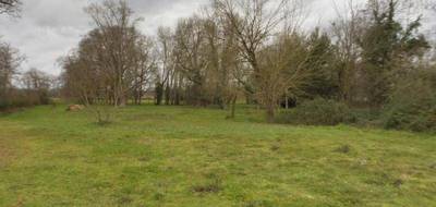 Terrain seul à Coutras en Gironde (33) de 5173 m² à vendre au prix de 126600€ - 1