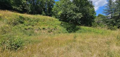 Terrain seul à Belcastel en Aveyron (12) de 4450 m² à vendre au prix de 39500€ - 4