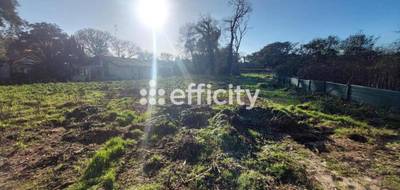 Terrain seul à Moliets-et-Maa en Landes (40) de 500 m² à vendre au prix de 208000€ - 2