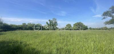 Terrain seul à Châtillon-sur-Broué en Marne (51) de 820 m² à vendre au prix de 25000€ - 3