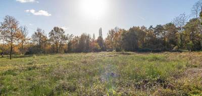 Terrain seul à Pruniers-en-Sologne en Loir-et-Cher (41) de 1151 m² à vendre au prix de 27990€ - 1