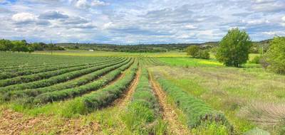 Terrain seul à Saint-Montan en Ardèche (07) de 1800 m² à vendre au prix de 68000€ - 1