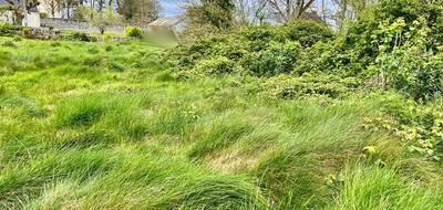 Terrain seul à Plounéour-Brignogan-plages en Finistère (29) de 534 m² à vendre au prix de 88750€ - 4