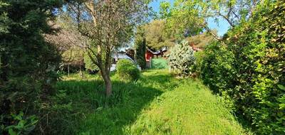 Terrain seul à Balaruc-les-Bains en Hérault (34) de 800 m² à vendre au prix de 390000€ - 1