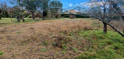 Terrain seul à Saint-Gauzens en Tarn (81) de 523 m² à vendre au prix de 52000€ - 3