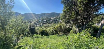 Terrain seul à La Croix-Valmer en Var (83) de 1198 m² à vendre au prix de 839000€ - 3