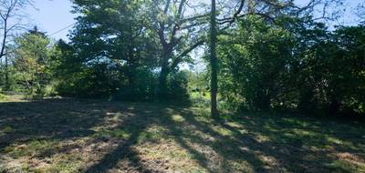 Terrain seul à Réans en Gers (32) de 10000 m² à vendre au prix de 94000€ - 4