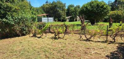Terrain seul à Ambarès-et-Lagrave en Gironde (33) de 753 m² à vendre au prix de 130800€ - 3