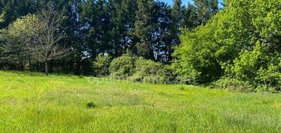 Terrain seul à Saint-Genès-de-Lombaud en Gironde (33) de 1609 m² à vendre au prix de 155000€ - 1