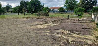 Terrain seul à Mauges-sur-Loire en Maine-et-Loire (49) de 559 m² à vendre au prix de 40000€ - 2