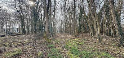 Terrain seul à Nailly en Yonne (89) de 1690 m² à vendre au prix de 35000€ - 2
