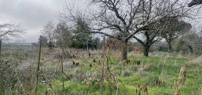 Terrain seul à Lafitte-Vigordane en Haute-Garonne (31) de 1000 m² à vendre au prix de 90000€ - 4