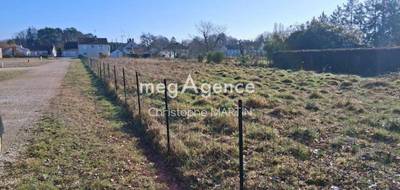 Terrain seul à Selles-Saint-Denis en Loir-et-Cher (41) de 1276 m² à vendre au prix de 36000€ - 4