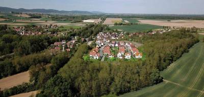 Terrain seul à Riedseltz en Bas-Rhin (67) de 485 m² à vendre au prix de 62500€ - 1