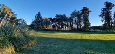 Terrain seul à Sénas en Bouches-du-Rhône (13) de 751 m² à vendre au prix de 185000€ - 1