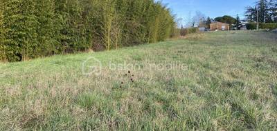 Terrain seul à Garidech en Haute-Garonne (31) de 1255 m² à vendre au prix de 165000€ - 3