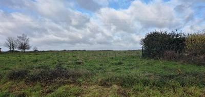 Terrain seul à Saunay en Indre-et-Loire (37) de 1500 m² à vendre au prix de 43990€ - 1