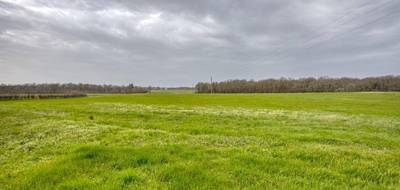 Terrain seul à Velles en Indre (36) de 650000 m² à vendre au prix de 633000€ - 4