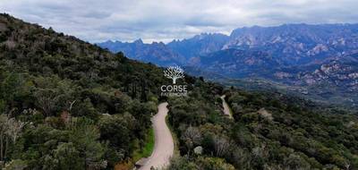Terrain seul à Sari-Solenzara en Corse-du-Sud (2A) de 2600 m² à vendre au prix de 405000€ - 3