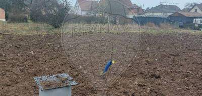 Terrain seul à Issenheim en Haut-Rhin (68) de 1029 m² à vendre au prix de 242000€ - 1