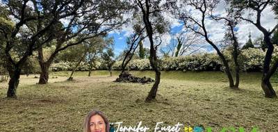 Terrain seul à Castries en Hérault (34) de 1429 m² à vendre au prix de 450000€ - 1