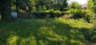 Terrain seul à Villeneuve-en-Perseigne en Sarthe (72) de 1000 m² à vendre au prix de 29000€ - 2