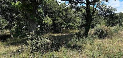 Terrain seul à Grignan en Drôme (26) de 1200 m² à vendre au prix de 250000€ - 3