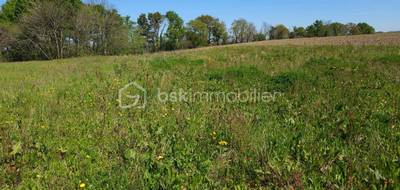 Terrain seul à Léren en Pyrénées-Atlantiques (64) de 1816 m² à vendre au prix de 82500€ - 3