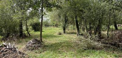 Terrain seul à Mondavezan en Haute-Garonne (31) de 3760 m² à vendre au prix de 127200€ - 3