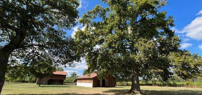 Terrain seul à Taller en Landes (40) de 5878 m² à vendre au prix de 272000€ - 1