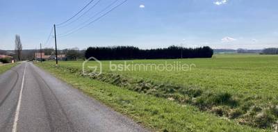 Terrain seul à Giffaumont-Champaubert en Marne (51) de 600 m² à vendre au prix de 31000€ - 3