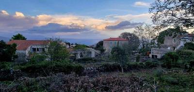 Terrain seul à Sari-Solenzara en Corse-du-Sud (2A) de 939 m² à vendre au prix de 220000€ - 1