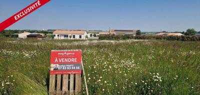 Terrain seul à Landes en Charente-Maritime (17) de 1028 m² à vendre au prix de 37000€ - 1